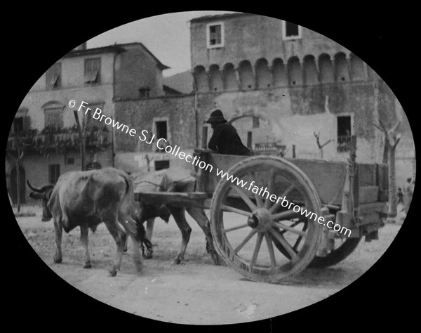 OX-CART IN STREET